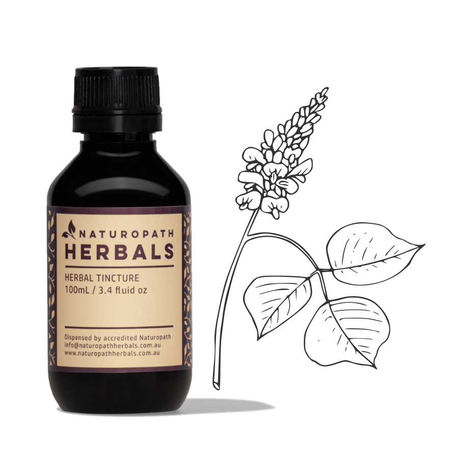 KUDZU tincture liquid extract