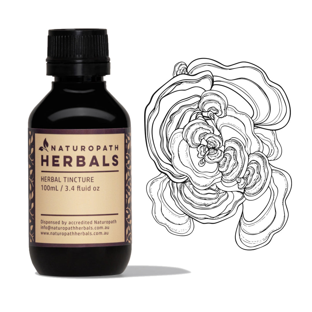 Turkey tail mushroom benefits include immune support, gut health, and powerful antioxidants.
