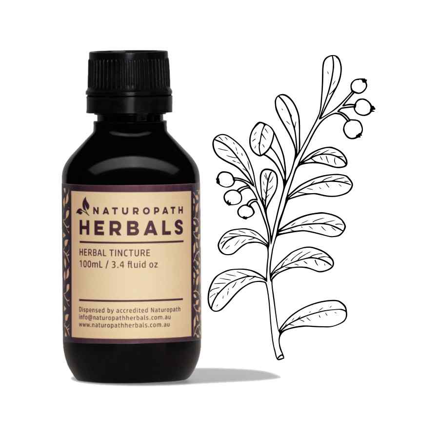 BEARBERRY Liquid Extract Tincture