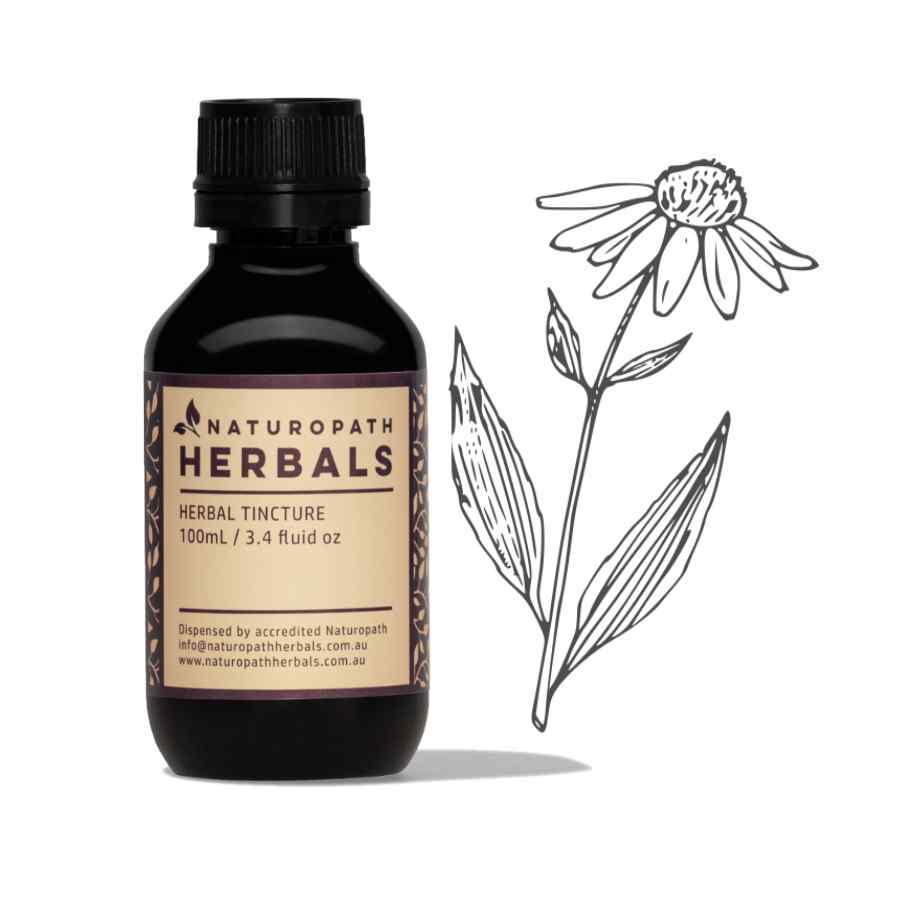 Echinacea liquid extract tincture