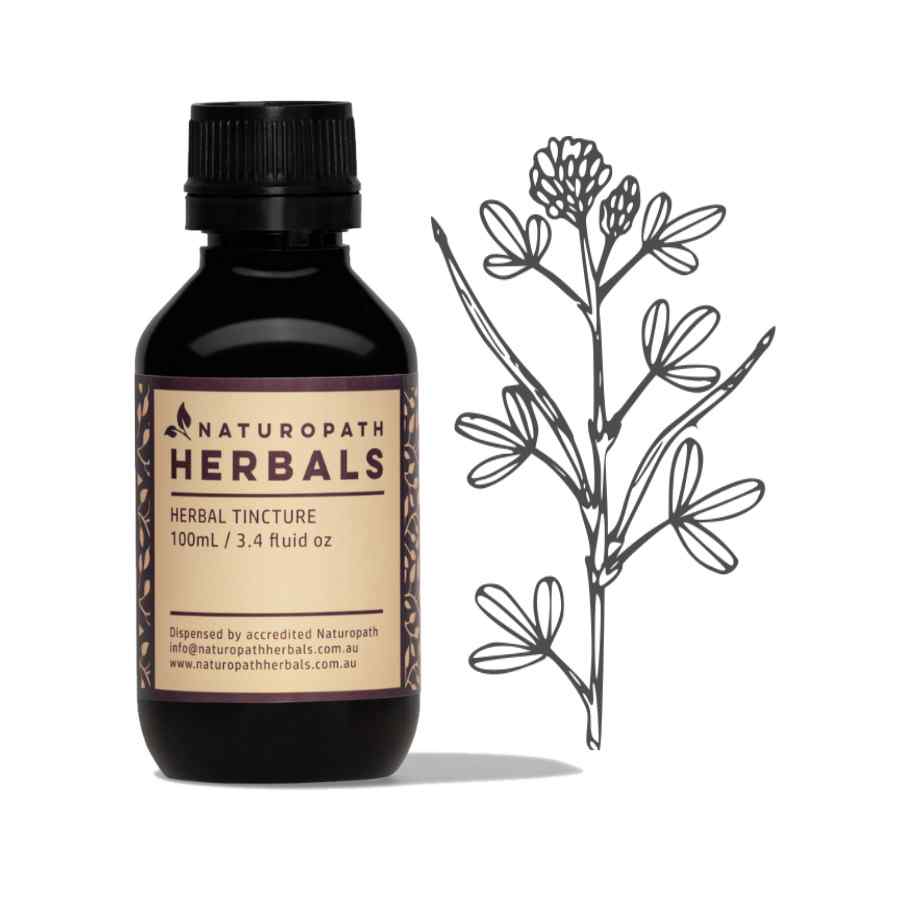 Fenugreek Liquid Extract Tincture 50500ml Naturopath Herbals