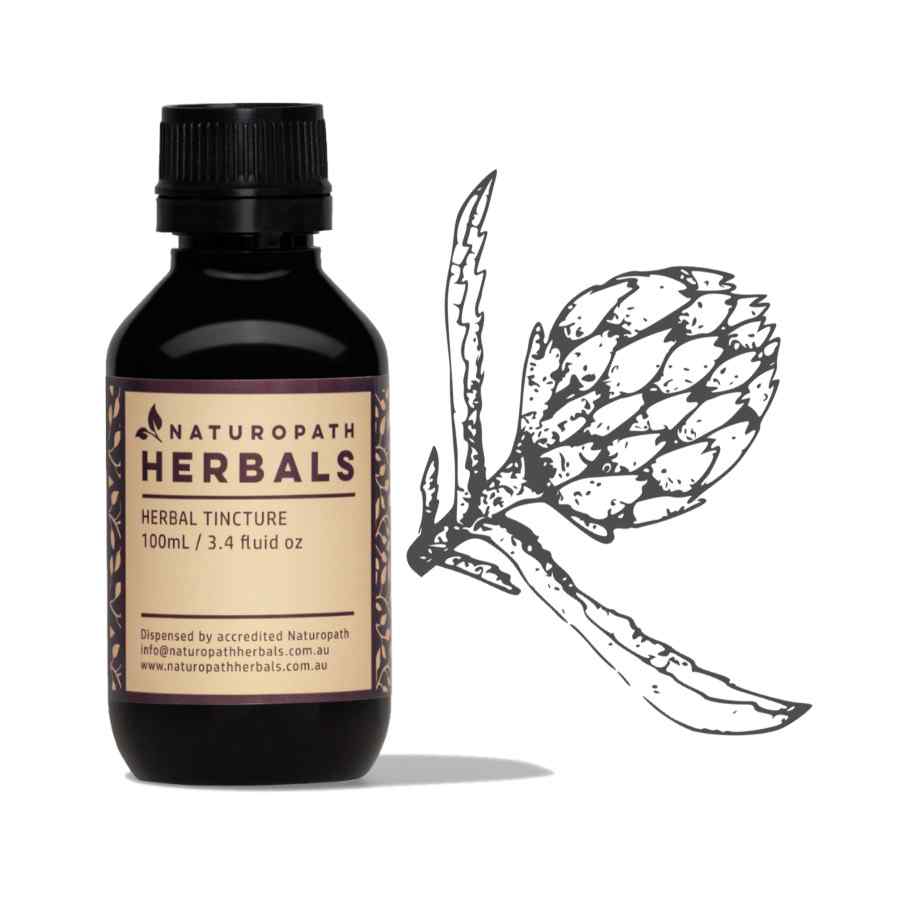 Globe Artichoke Liquid Extract Tincture 50500ml Naturopath Herbals