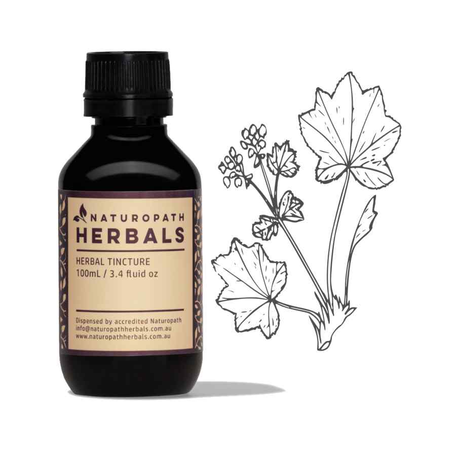 Ladies mantle liquid extract tincture