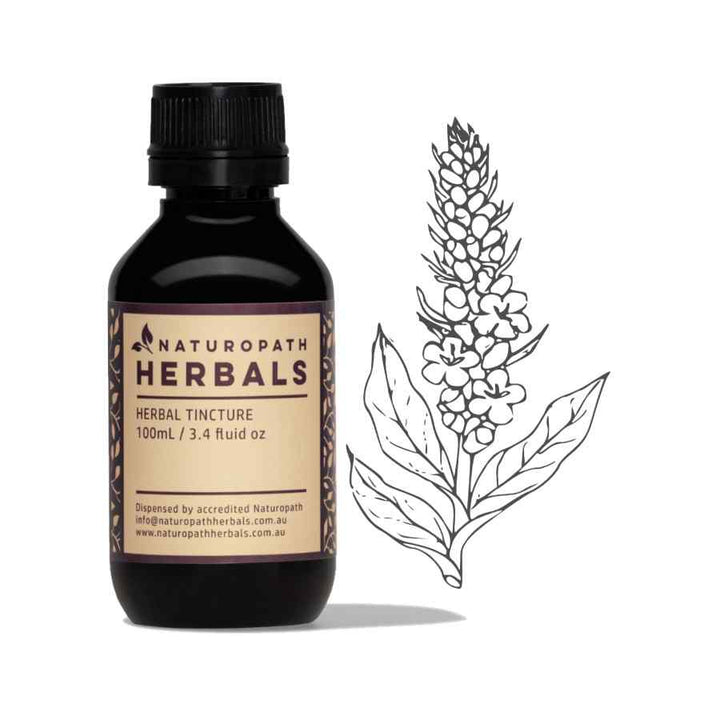 Mullein liquid extract tincture