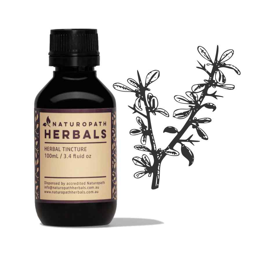 Myrrh liquid extract tincture