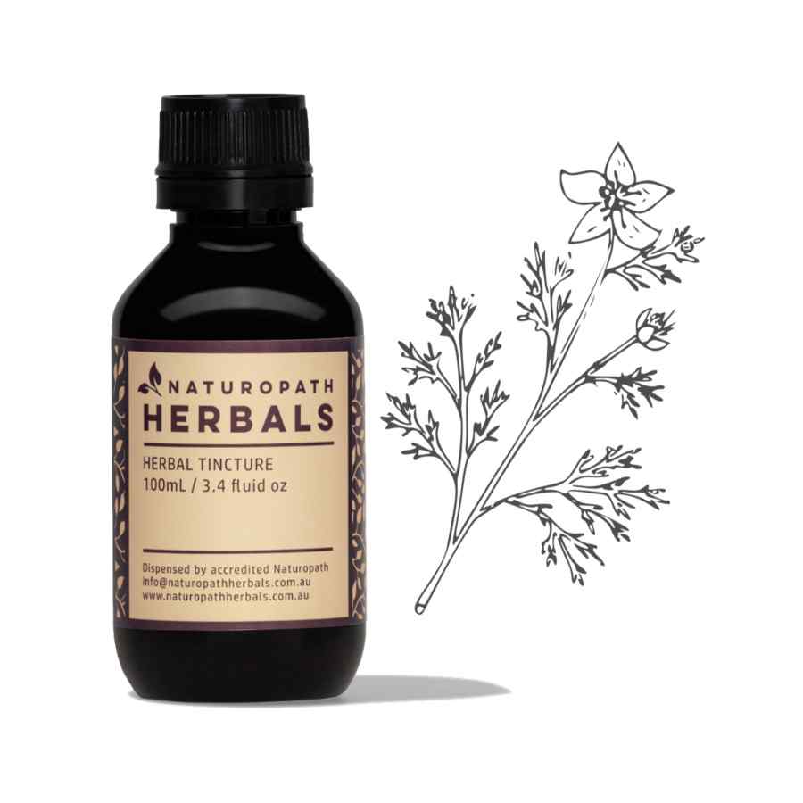 Nigella liquid extract tincture