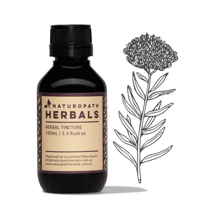 Pleurisy root liquid extract tincture
