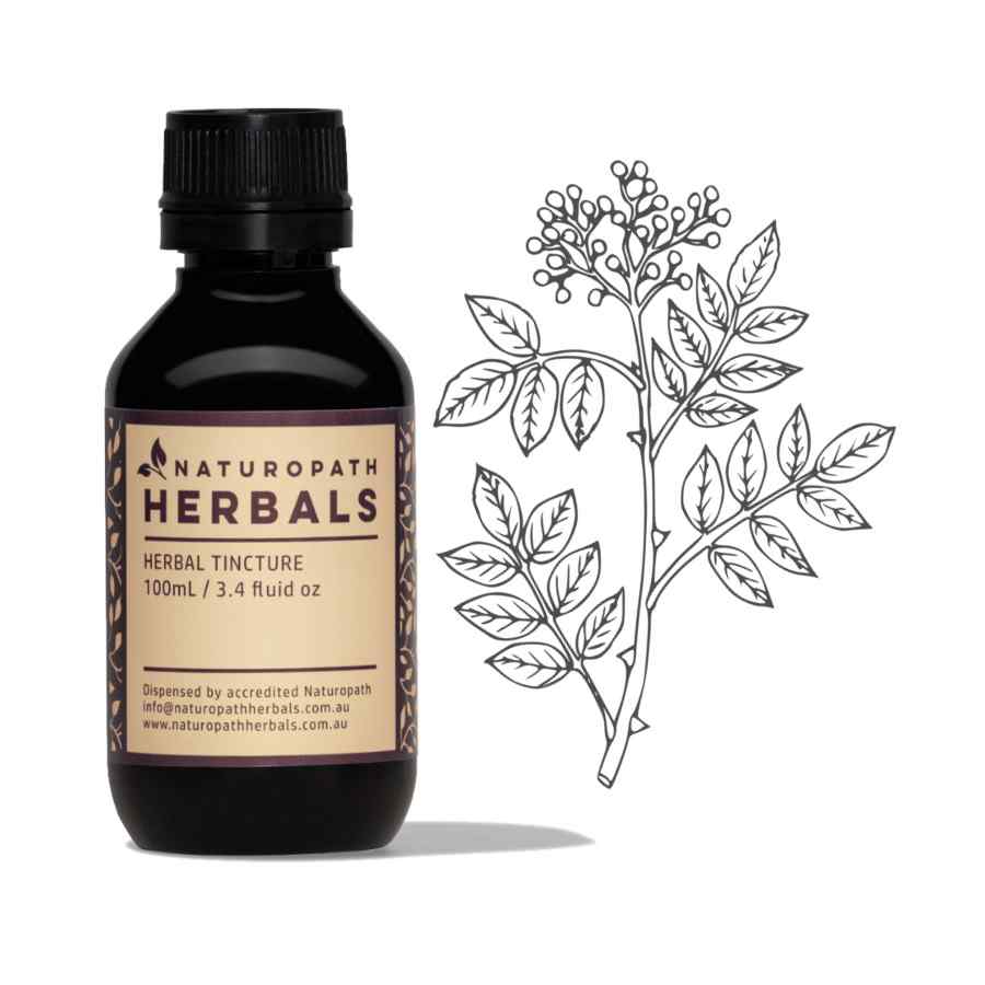 Prickly ash liquid extract tincture