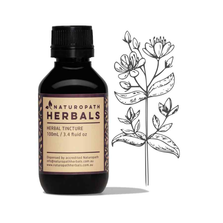 st johns wort liquid extract tincture