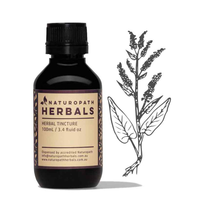 Yellow dock liquid extract tincture