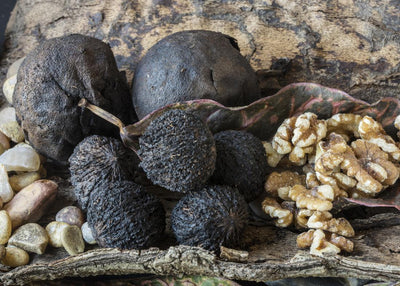 Black Walnut Benefits | Gut Health, Parasites, Anti-Bacterial & Anti-Fungal