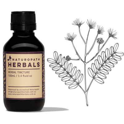 ALBIZIA Liquid Extract Tincture