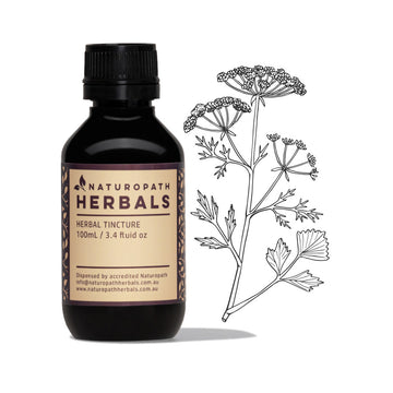 Aniseed liquid extract tincture