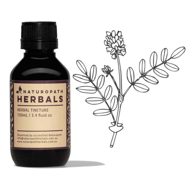 Astragalus liquid extract tincture