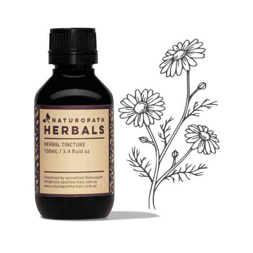 Chamomile liquid extract tincture