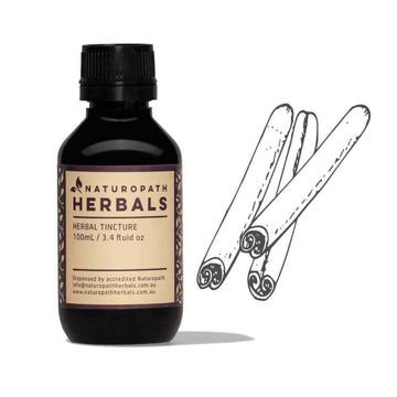 Cinnamon liquid extract tincture