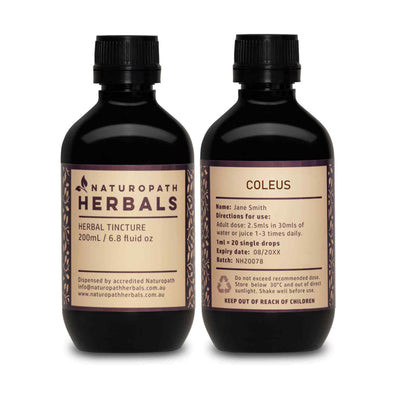 Coleus forskohlii Herbal Tincture Liquid Extract