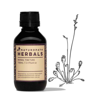 Couch grass liquid extract tincture