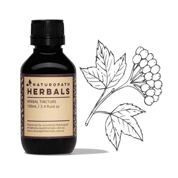 Cramp bark liquid extract tincture