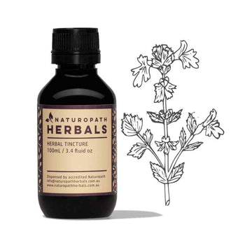 Eyebright liquid extract tincture
