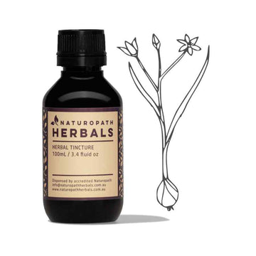 Hemidesmus liquid extract tincture