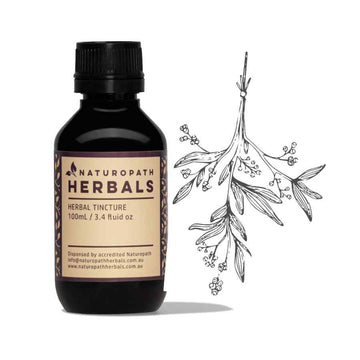 Mistletoe liquid extract tincture