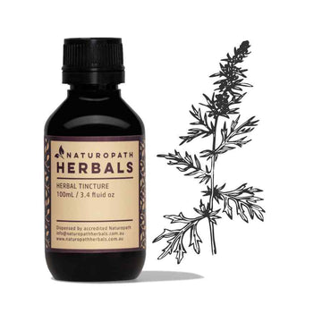 Mugwort liquid extract tincture
