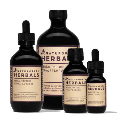 Gravel root liquid extract tincture drops