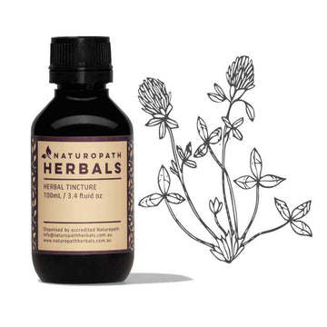 Red clover liquid extract tincture