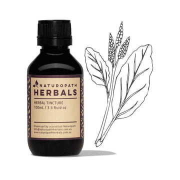 Rhubarb liquid extract tincture