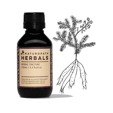 Shatavari liquid extract tincture