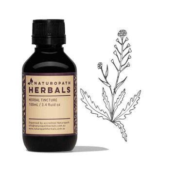 Shepherds purse liquid extract tincture