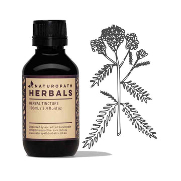 Yarrow liquid extract tincture