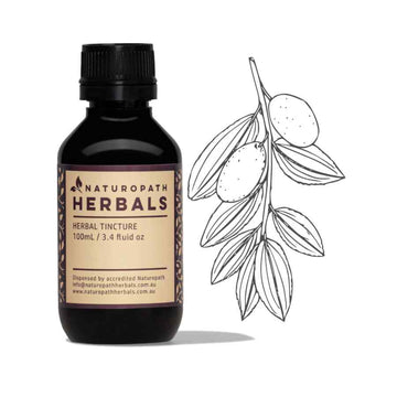 Zizyphus liquid extract tincture